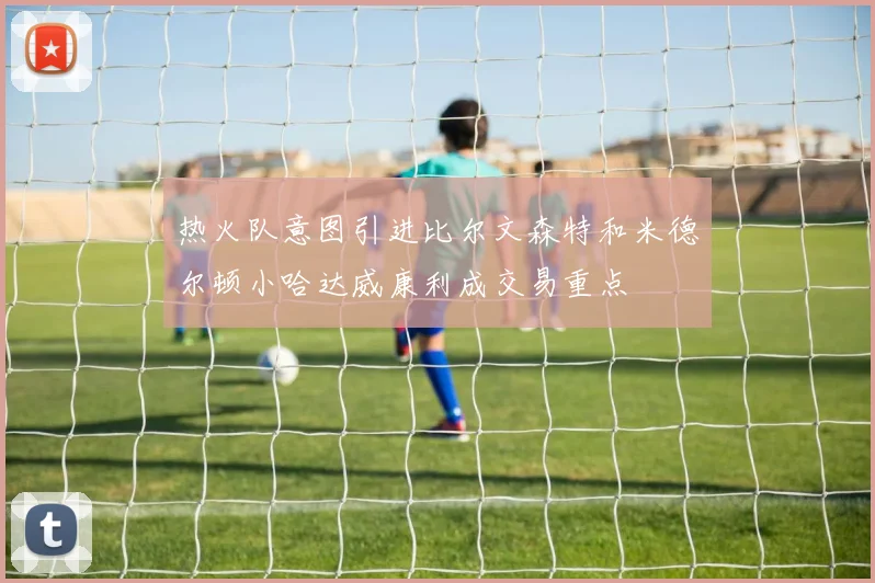 热火队意图引进比尔文森特和米德尔顿小哈达威康利成交易重点