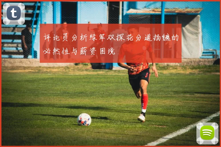 评论员分析绿军双探花分道扬镳的必然性与薪资困境