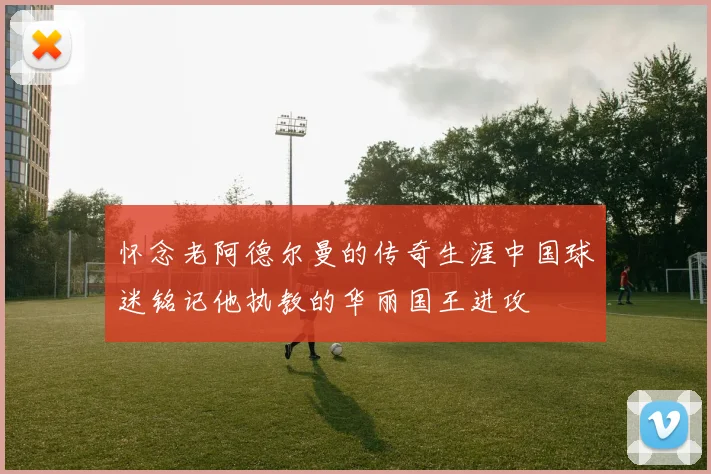 怀念老阿德尔曼的传奇生涯中国球迷铭记他执教的华丽国王进攻